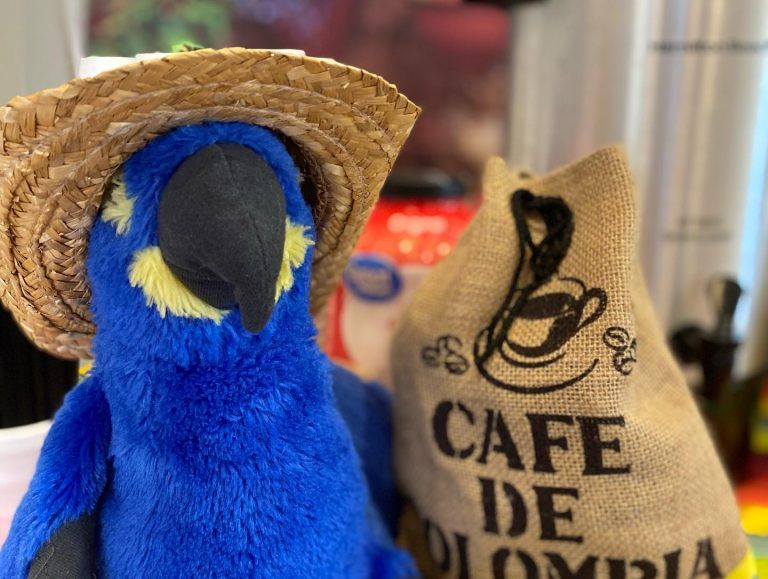 round rock preschool